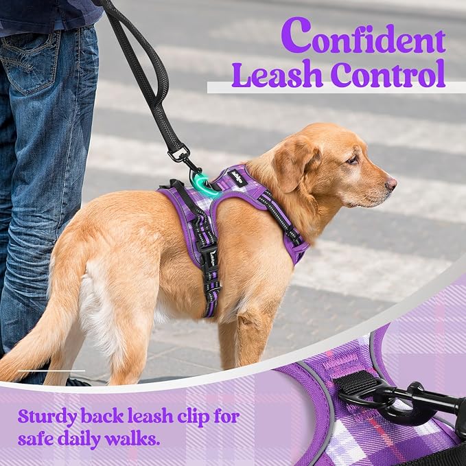 rabbitgoo Dog Harness, No Pull for Small Dogs with 2 Leash Clips, Pet Vest | No Choke with Handle, Adjustable Soft Padded, Reflective, Easy Control for Walking, Purple Plaid, Small