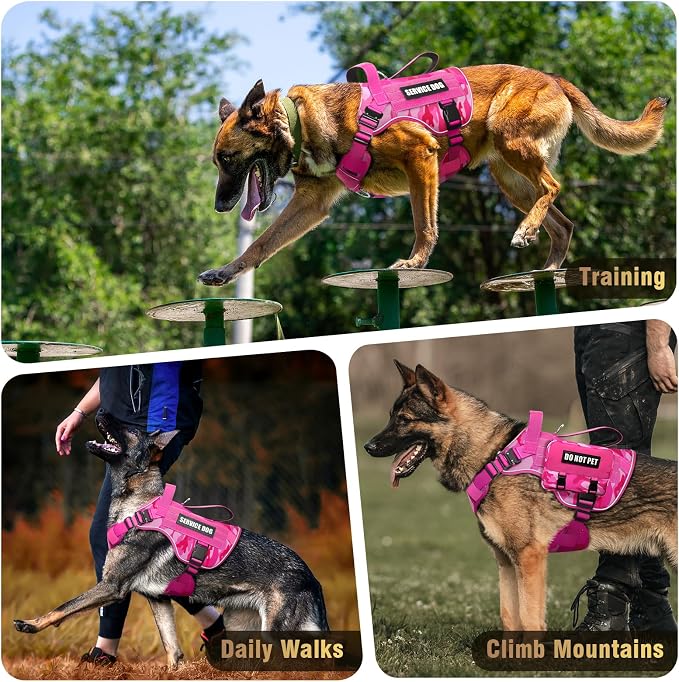2X Metal Buckle Service Working MOLLE Dog Vest with 10 Pet Patches | Tactical Dog Harness for Large Dog, No-pull Military Working Vest for Training Hunting Walking，2x D Rings for Leash Clip