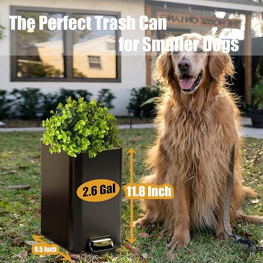 Small Metal Trash Can with Lid - Dog Poop Trash Can Outside with Pedal | 10 Liters Pet Waste Container Outdoor - Plant-Styled Poop Bucket - 2.6 Gal Stainless Steel Garbage Bin - Black and Gold