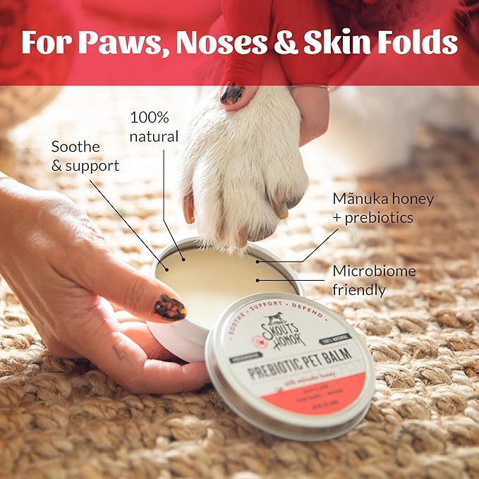 SKOUT'S HONOR Prebiotic Pet Balm - 100% Natural and Made w/Manuka Honey to Promote Healing of Your pet's paw Pads and Nose, Soothes Dry, Itchy Paws and Noses - Safe for Cats and Dogs, 2oz