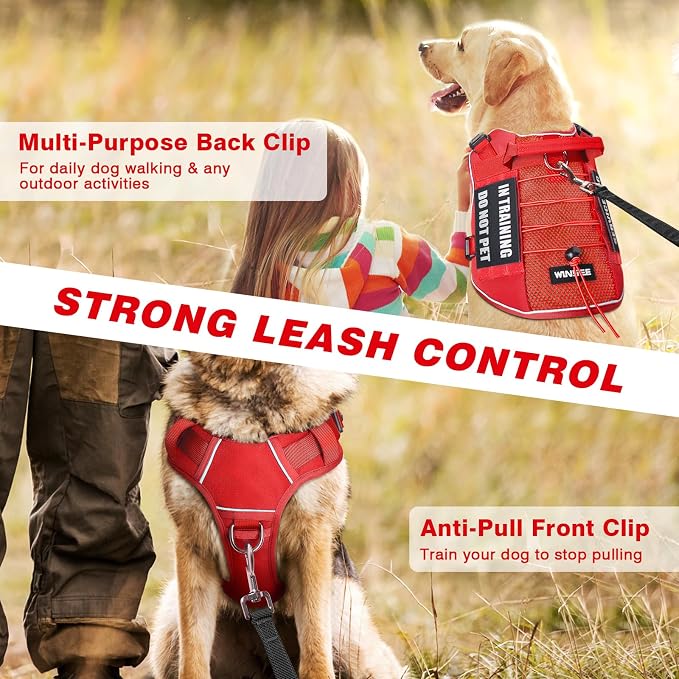 Service Dog in Training Mesh Harness with 10 Removale Pet Patches | Breathable material, adjustable straps, reflective trim, lightweight but durable, great for training, walks, and outings