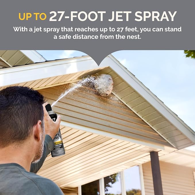 Hot Shot Wasp and Hornet Killer Aerosol, Up to 27-Foot Jet Spray, 14 Ounces, 2 Pack