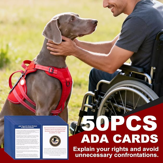 Service Dog Harness + ID Tag 50 ADA Information Cards - No Pull Dog Vest 10 PCS Removable Patches - Reflective Emotional Support Animal Vest for Small Dogs - Adjustable Breathable ESA Training Vest