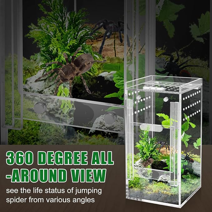 Mini Spider Enclosure, Windspeed 3x3x6’’ Acrylic Terrarium with Ventilation Jumping Spider Enclosure Cage Portable Micro Habitat Terrarium for Tarantula Lizards Gecko with Tongs, Dropper