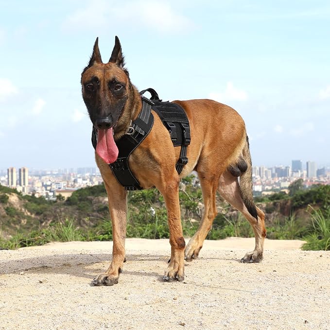 ICEFANG Tactical Mesh Dog Harness for Medium Dogs,Reflective Dog Molle Vest | Summer-Cooling, Control Handle,Adjustable,Front Hook,3 Leash Clips,Soft Padded,No Pull,Black,Medium