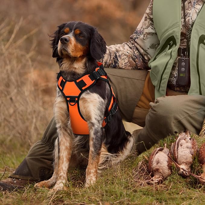 WINGOIN Orange Tactical Dog Harness for Medium Dogs,No Pull Dog Harness | Heavy Duty with Handle,Adjustable Reflective,Military K9 Pet Vest,for Pitbull Female Male,for Walking Training Hiking Hunting