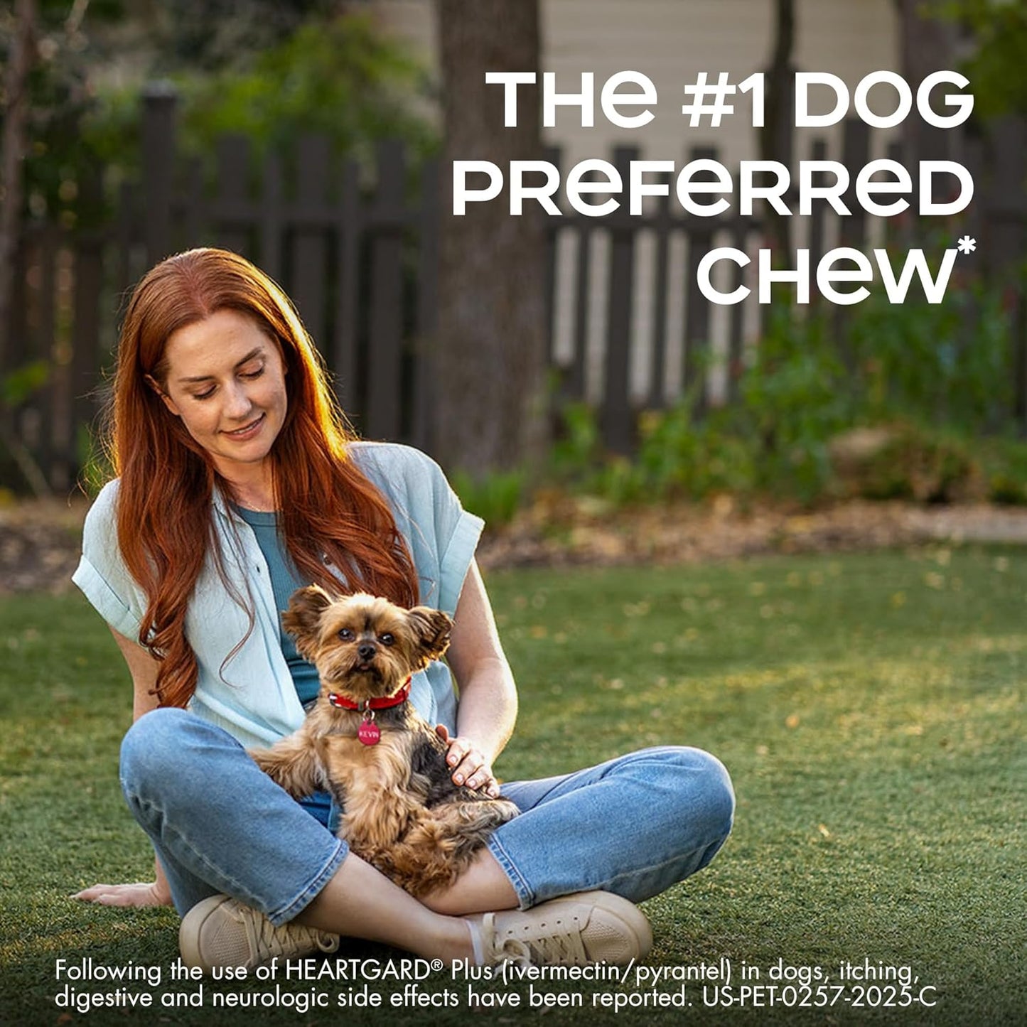 HEARTGARD® Plus (ivermectin/pyrantel) Real-Beef Chewables for Dogs 51 -100 lbs (Brown Box) 1 Month Supply of Chews (Heartworm Disease Preventive)