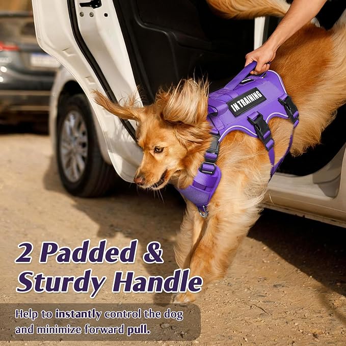 Escape Proof Dog Harness with Double Handle+4 Removable Patches | Service Working Molle Harness with Double Handle for Large Dogs, Tactical Pet Reflective Vest for Walking Hiking Hunting