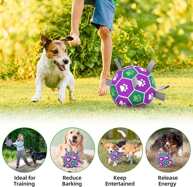 Diman Dog Toy Balls, Soccer Ball for Dogs with Straps, Outdoor Pet Toys, Puppy Birthday Gifts for Small Meidum, Interactive Dogs Toy for Tug of War(6 Inch)