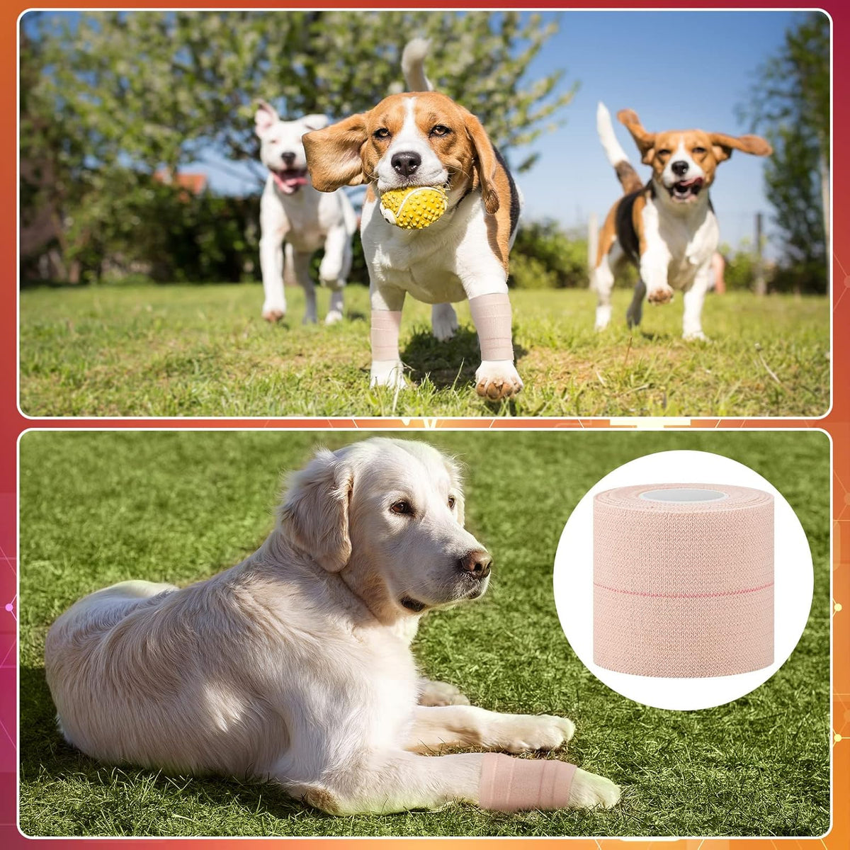 Nuanchu 16 Rolls Elastic Adhesive Bandage Tape Self Adherent Cohesive Flexible Stretch Elastic Athletic Tape for Sports Ankle Knee and Wrist, Vet Wrap for Horses Pets Cats Dogs(2 Inch x 5 Yard)