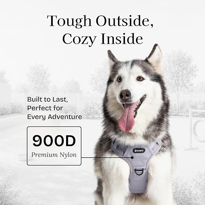 Fei & Eve Classic Dog Harness, MagEase Magnetic Buckle | 3-Point No-Pull Control, Dual Handle Support, 900D Nylon, Tactical Patch Panel, Heavy Duty, Small, Gray