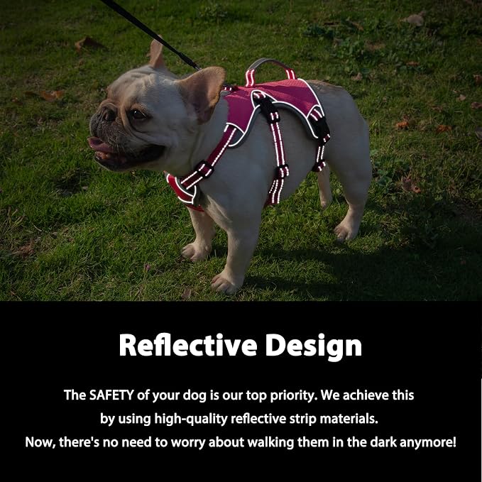 Escape Proof Dog Harness, Dachshund Harness, Reflective Dog Harness with Handle, Durable,Adjustable Vest for Small Medium Large Dogs Walking, Training, and Running Gear (Rose red,L)