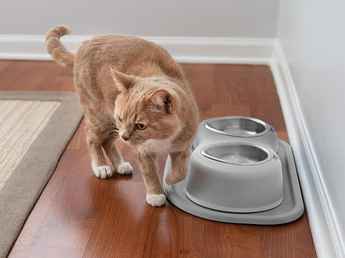 WeatherTech Double High Pet Feeding System - Elevated Dog/Cat Bowls 8oz Stainless Steel Bowls 3 inch High Light Grey (DHC0803LGLG)