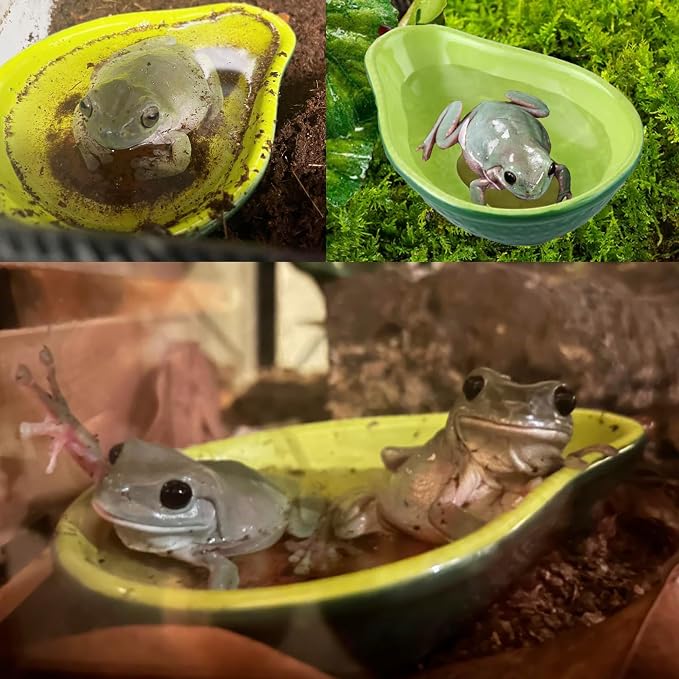 JSLZF Tree Frog Habitat Frog Water Bowl Dish Bathtub Tank Accessories Terrarium Decor Ceramic Aquarium Decoration Sturdy and Not Easy to Knock Over