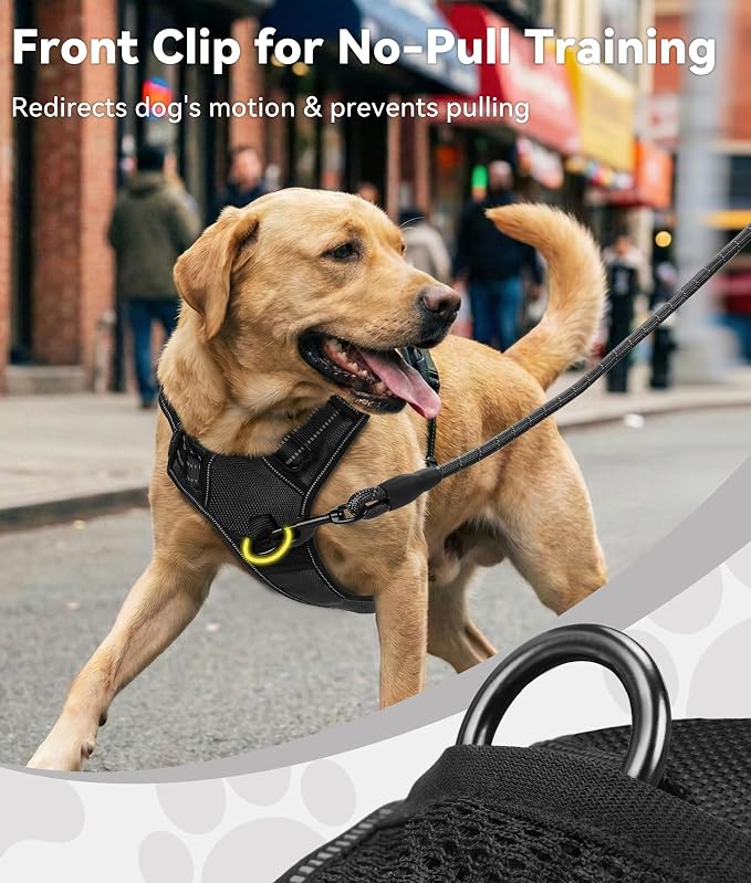 Joytale No Pull Dog Harness for Small Dogs, Front Clip, Black | Grab Handle for Instant Control, Padded & Adjustable Vest, Sturdy Metal D-Rings, for Safe Training & Daily Walking