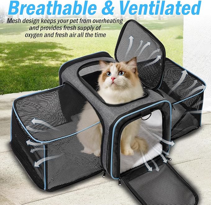 Vivicreate Cat Carrier Airline Approved Soft Sided Pet Carrier for Cats and Small Dogs Collapsible Travel Cat Bag with Ventilation Mesh Shoulder Strap and Fleece Pad