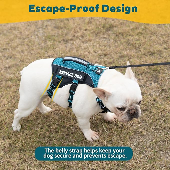 Service Dog Vest Harness, Escape Proof Harness with 6 Patches, No-Pull, Reflective Harness with Handle, Adjustable for Small to Large Dogs, for Training and Hiking (Teal, XS)