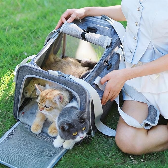 Pet Carrier Bag for Cats & Small Dogs, Airline Approved Travel Cat Carrier with Mesh Windows, Shoulder Strap & Removable Mat, Foldable Design for Home & Outdoor Trips