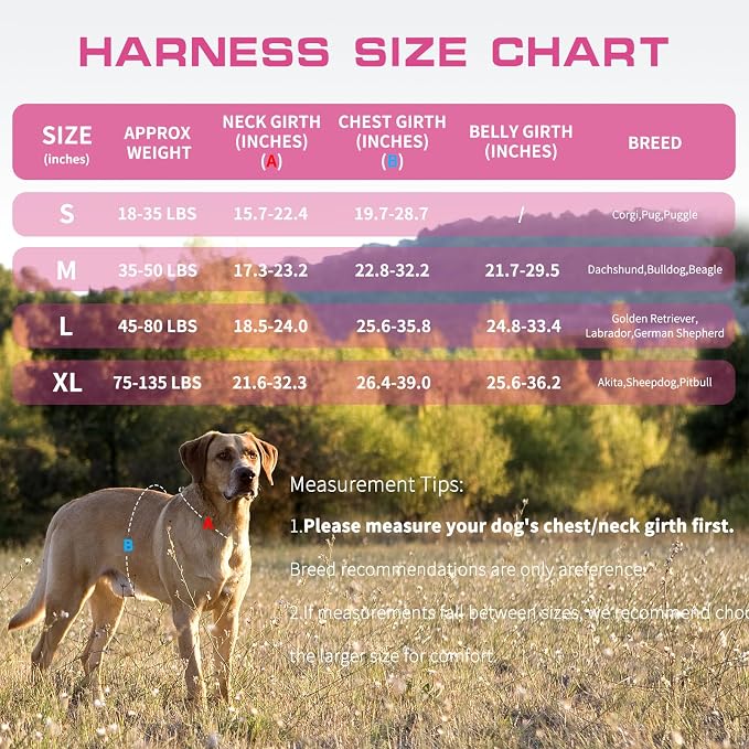 Dog Harness for Large Dogs Heavy Duty, No Pull Tactical Dog Harness with Molle System, Easy On and Off Service Dog Vest, Breathable Padded, Adjustable Reflective Pet Vest for Walking Hiking Training