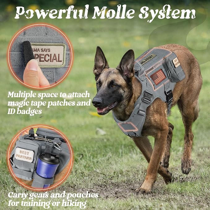 rabbitgoo Tactical Dog Harness for Small, Heavy Duty Military No Pull Vest | Sturdy Metal Buckles, 5 Adjustments, Molle System, Powerful Pullers for Training, Hunting, Outdoor, Grey, Small