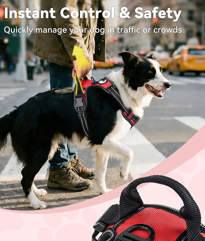 Joytale No Pull Dog Harness for Large Dogs, Front Clip, Red | Grab Handle for Instant Control, Padded & Adjustable Vest, Sturdy Metal D-Rings, for Safe Training & Daily Walking