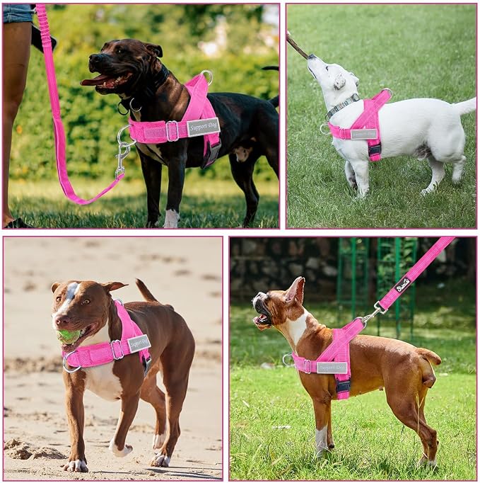 SlowTon No Pull Dog Harness with Front Clip - Heavy Duty, Soft Padded | Neck & Chest Adjustable, Tactical Pet Vest and Leash Set for Large Medium Sized Dogs, for Easy Walk & Training, Fuchsia S