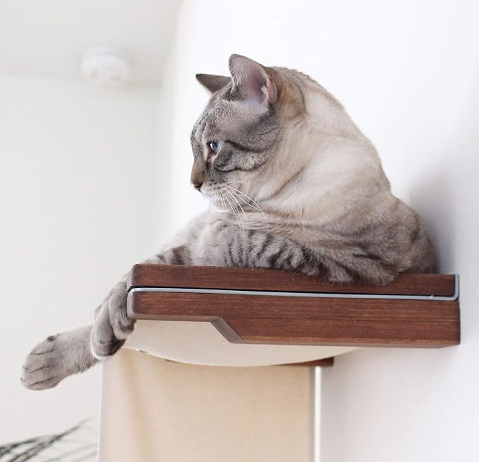 CatastrophiCreations Cat Wall Mounted Play Cat Condo, Bamboo Frame, Modular Design, Sisal Pole, Hammock, 18" and 34" Sections
