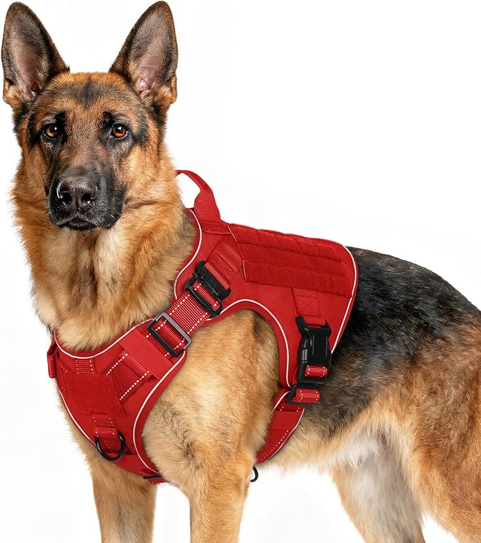 rabbitgoo Tactical Dog Harness X-Large, Heavy Duty Military No Pull Vest | Sturdy Metal Buckles, 5 Adjustments, Molle System, Powerful Pullers for Training, Hunting, Outdoor, Red Reflex, X-Large