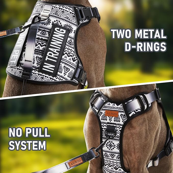 AUNZO No Pull Dog Harness for Small Dog Breeds, Anti-Escape Easy Walking Reflective Adjustable Lightweight Dog Vest with Breathable Oxford Material, Easy on Easy Off with Neck Buckle,Black Ethnic XS