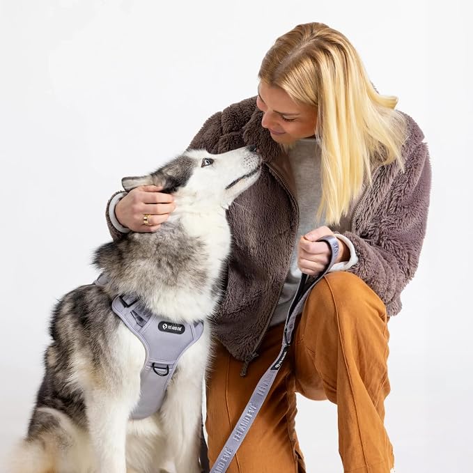 Fei & Eve Classic Dog Harness, MagEase Magnetic Buckle | 3-Point No-Pull Control, Dual Handle Support, 900D Nylon, Tactical Patch Panel, Heavy Duty, X-Large, Gray