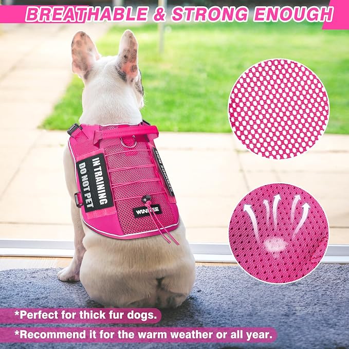 Service Dog in Training Mesh Harness with 10 Removale Pet Patches | Breathable material, adjustable straps, reflective trim, lightweight but durable, great for training, walks, and outings