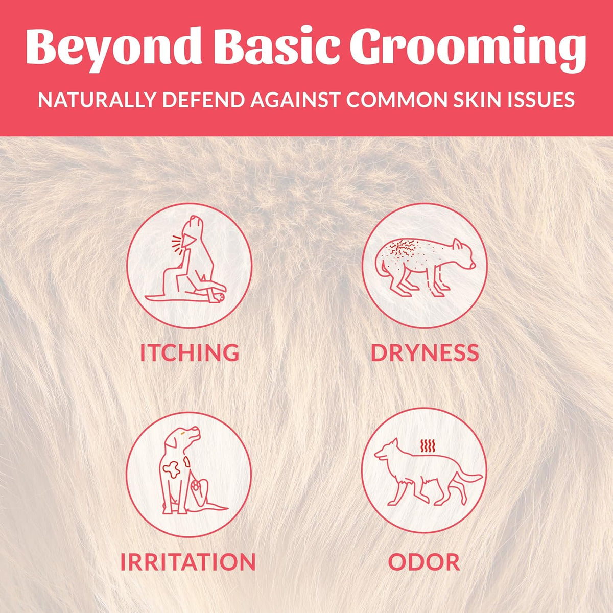 SKOUT'S HONOR Probiotic Pet Deodorizer Spray- Hydrating Daily-Use with Avocado Oil & Omega-3s, Microbiome Friendly Certiified, Paraben & Sulfate-Free, 97% Natural, 8oz, Sunkissed Coconut