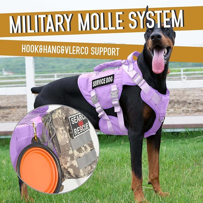 Service Dog Vest for Large Dogs, Purple Tactical Harness with Military MOLLE, Breathable Mesh & 39g Metal Buckle - Size L for Training & Hiking