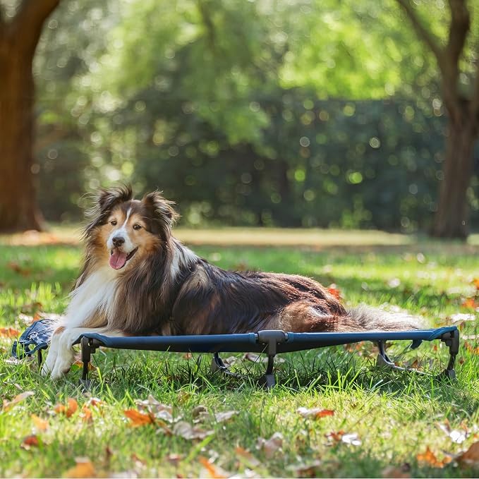 Upgraded Non-Slip Daisy Cot, Medium Foldable Elevated Dog Bed, Portable Raised Outdoor Dog Cot for Camping/Home, Chew Proof Waterproof Heavy Duty Up to 160 Lbs, Dark Blue, 32"x 23"
