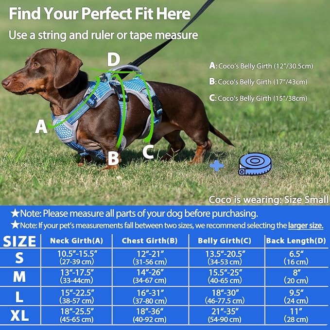 Escape Proof Dog Harness, Dachshund Harness, Reflective Dog Harness with Handle, Durable,Adjustable Vest for Small Medium Large Dogs Walking, Training, and Running Gear (Sea Blue,M)
