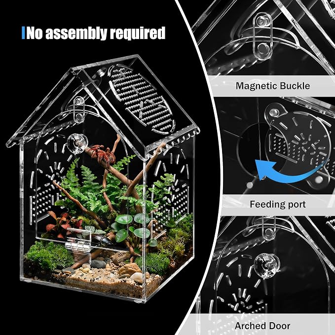 Jumping Spider House Enclosure, Seamless Acrylic Praying Mantis Habitat, 5"x5"x8.3", Medium