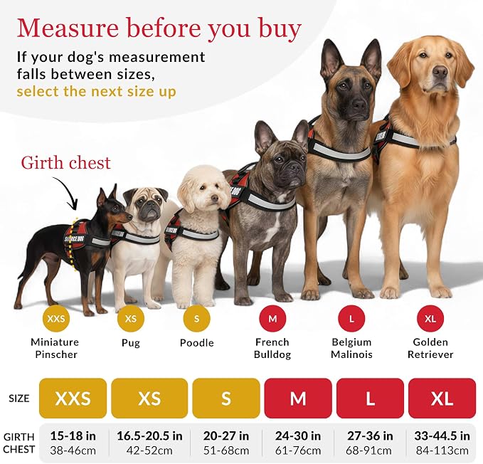 Service Dog Vest Harness – Reflective Service Animal Vest with Handle, No-Pull Adjustable Mesh Padding – XXS–XL – 2 Removable Patches. (Medium, Black)