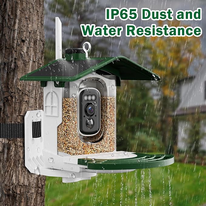 Jarkyfine Smart Bird Feeder with Camera Solar Powered - AI Bird Identification, 2.4Ghz WiFi, 2K HD Video Live Stream Camera, 3MP Photos, 2.9in Focus, Gifts for Mom Dad Birdlovers, Green