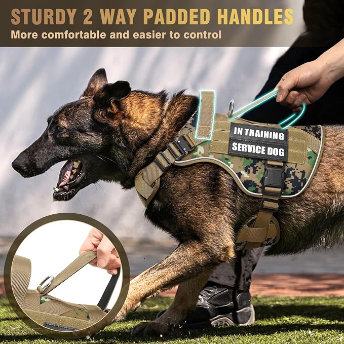 2X Metal Buckle Service Working MOLLE Dog Vest with 10 Pet Patches | Tactical Dog Harness for Large Dog, No-pull Military Working Vest for Training Hunting Walking，2x D Rings for Leash Clip