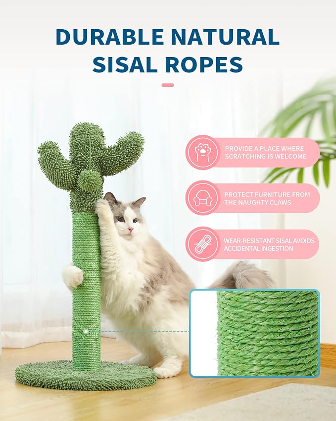 Made4Pets Tall Cactus Cat Scratching Post for Large Indoor Cats, 33.9" | Tall Cactus Cat Tree with Natural Sisal Rope, Stable Base and Plush Ball for Full-Body Stretching and Healthy Scratching