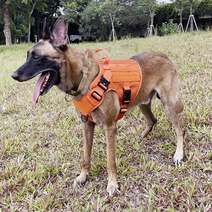ICEFANG Tactical Dog Harness for X-Large Dogs,Reflective No Pull Dog Vest | with Control Handle,Adjustable,Front Hook,2 Leash Clips,Soft Padded,MOLLE Panel,Orange,X-Large