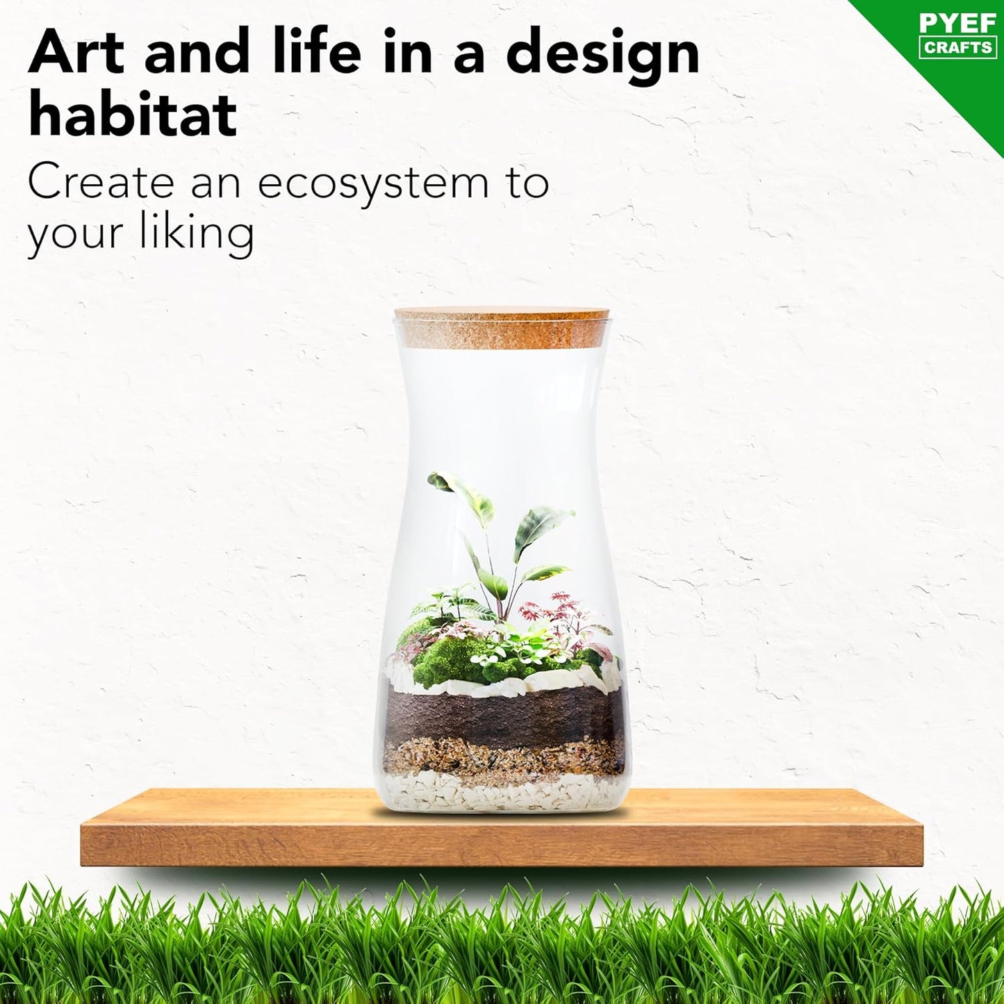 DIY Terrarium Kit for Adults – Build Your Own Self‑Sustaining Closed Ecosystem – 34 fl oz (1‑Liter) Glass Terrarium – Succulents, Air Plants, Fittonia, Fern – Plants Not Included