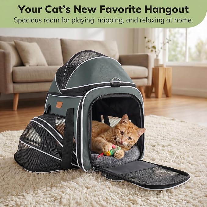 Morpilot Top and Side Expandable Cat Carrier, Airline Approved Collapsible Soft-Sided Pet Carrier for Medium/Large Cats and Puppies up to 20lbs for Car Rides and Vet Visits (Dark Gray)