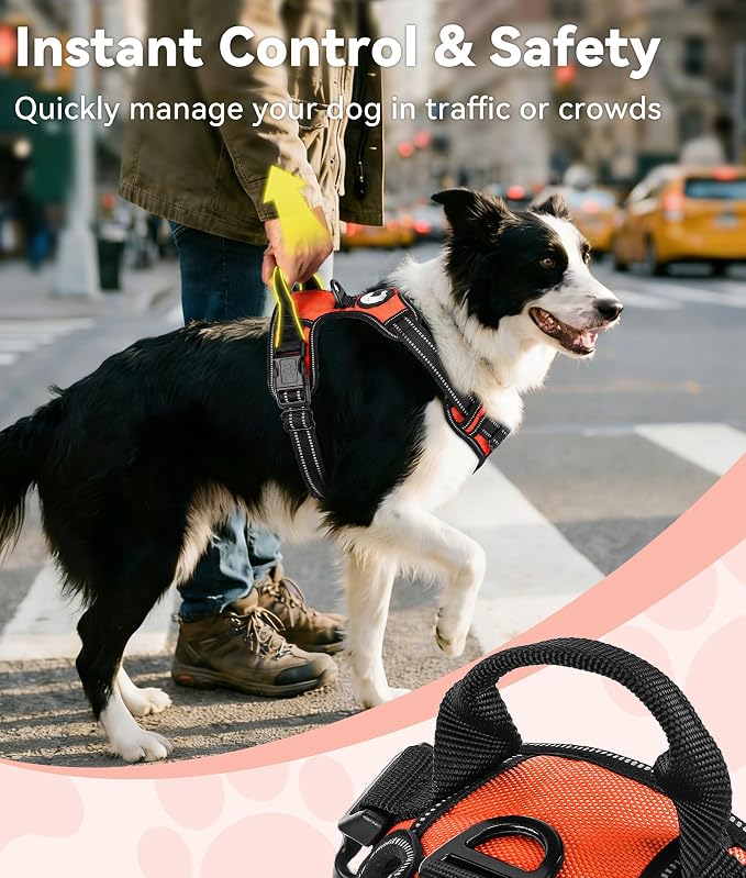 Joytale No Pull Dog Harness for Extra Large Dogs, Front Clip, Orange | Grab Handle for Instant Control, Padded & Adjustable Vest, Sturdy Metal D-Rings, for Safe Training & Daily Walking