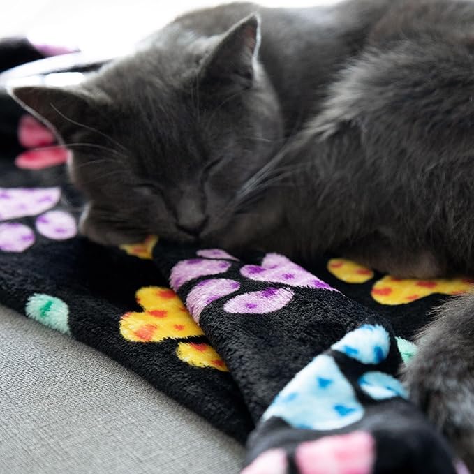 Pet Dog Cat Blanket Ultra Soft Cozy Fleece Paw Print Design Machine Washable Durable for Crates Beds Sofas Travel (Sweetheart Paws, Medium)