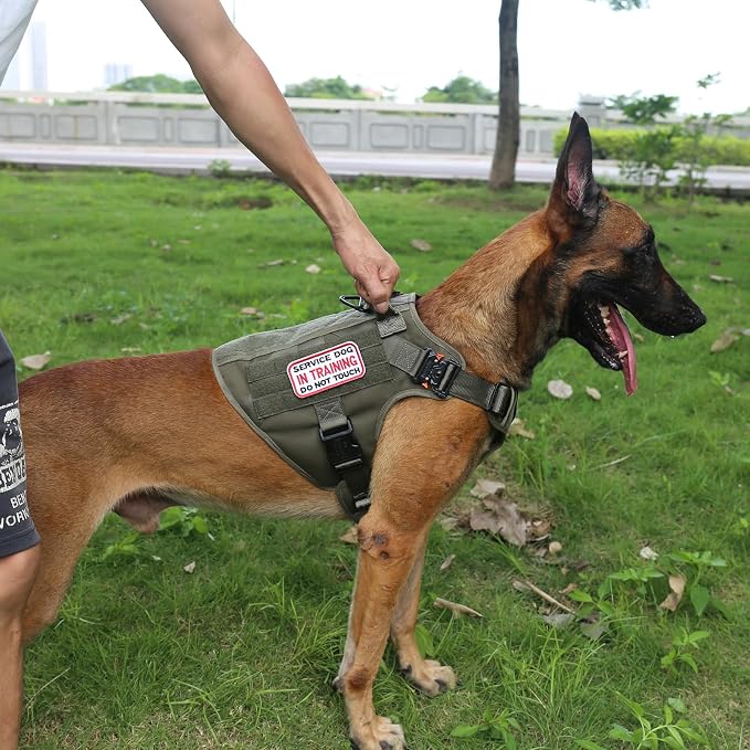 ICEFANG Tactical Dog Harness for Large Dogs,Reflective No Pull Dog Vest | with Control Handle,Adjustable,Front Hook,2 Leash Clips,Soft Padded,MOLLE Panel,Green,Large