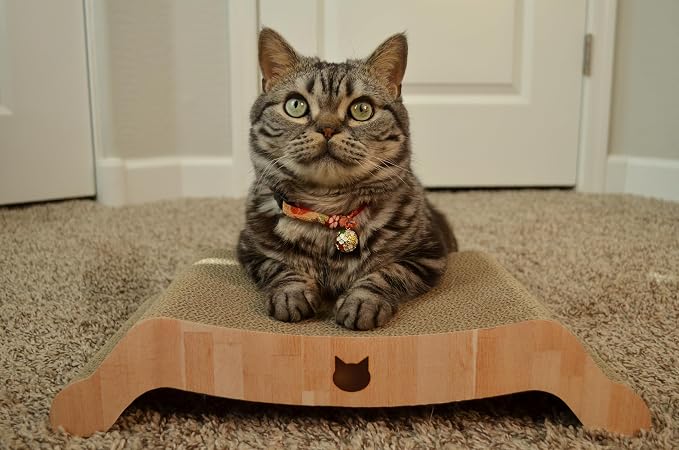 Necoichi Cardboard Cat Scratcher Couch for Indoor Cats - Cat Scratching Board, Horizontal Cat Scratch Pad Lounger with Reversible Usability and Extra Comfort for Lounge, Curved (17" Regular, Oak)