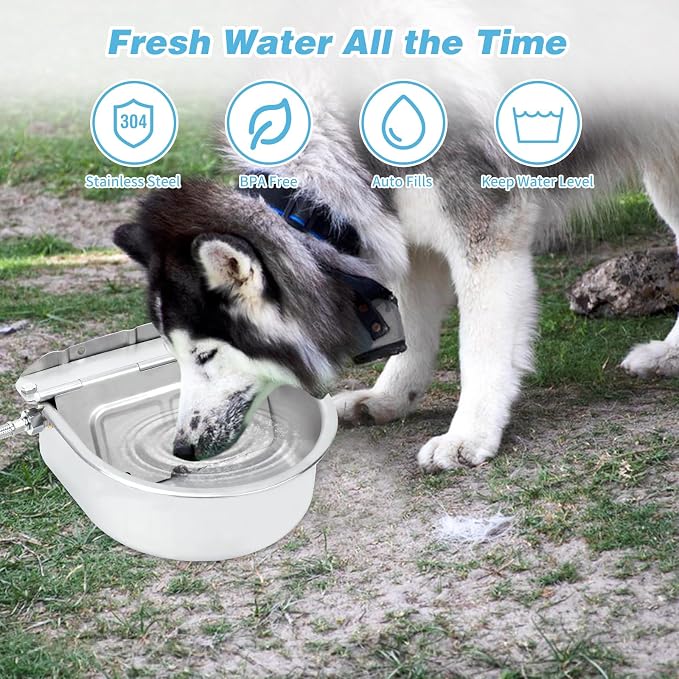FHTONGE 304 Stainless Steel Automatic Dog Water Bowl Dispenser with Outfall | Float Valves Auto Fill, Wall-Mounted Dog Waterer for Outdoor Big Dog Livestock Poultry Horse Cow Goat Pig Chicken Duck Rabbit