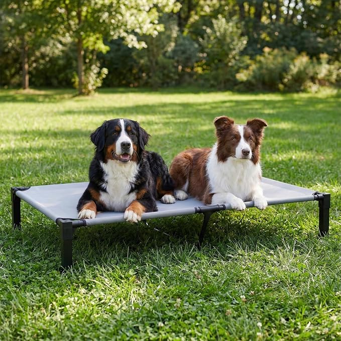 Elevated Dog Bed Raised Cooling Dog Cot for Large Dogs, Portable Indoor & Outdoor Pet Bed with No-Slip Feets Breathable Mesh Pet Bed for Camping Outdoor