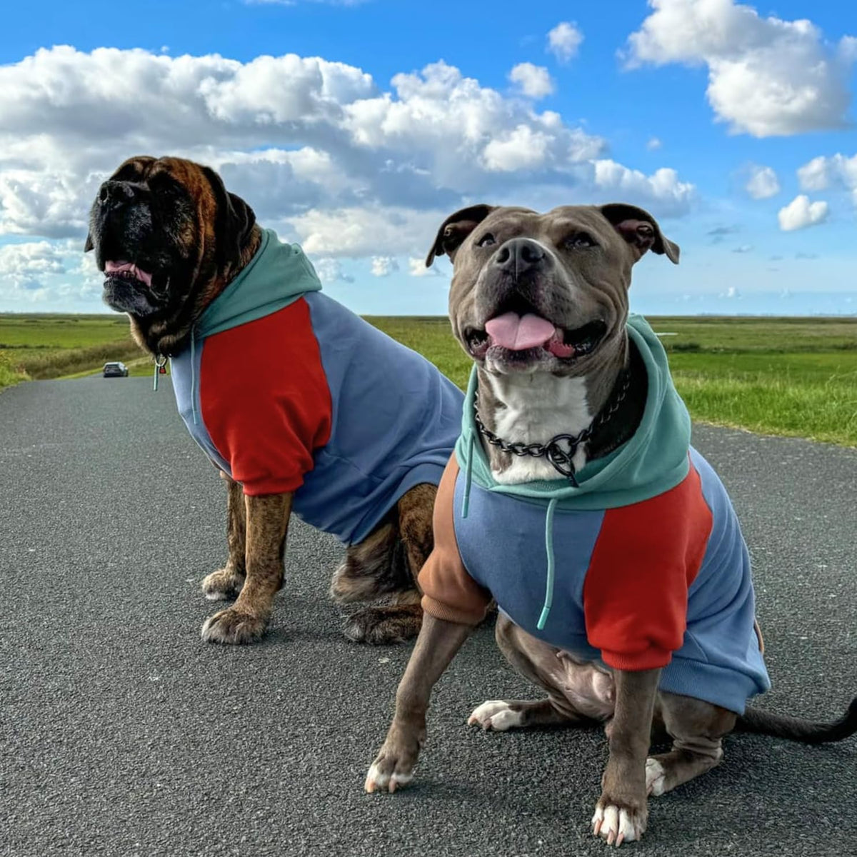 Spark Paws Dog Hoodie – Premium Dog Sweater for Small, Medium, and Large Dogs | Warm Outfits for French Bulldogs, Pitbull, Puppy, Winter Jacket Alternative - Alpine - 3XL